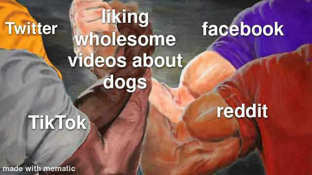 Twitterwholesome 1acebook Videos about dogs reddit TikTok made with mematic