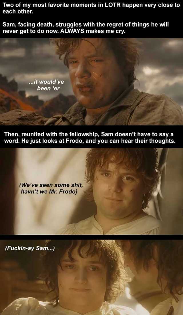 Two of my most favorite moments in LOTR happen very close to each other. Sam facing death struggles with the regret of things he will never get to do now. ALWAYS makes me cry. ...it wouldve been er Then reunited with the fellowshi