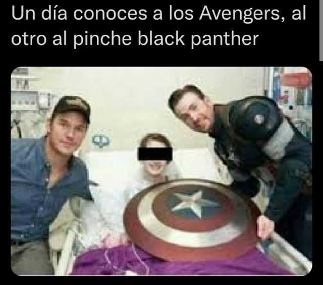 Un dia conoces a los Avengers al otro al pinche black panther