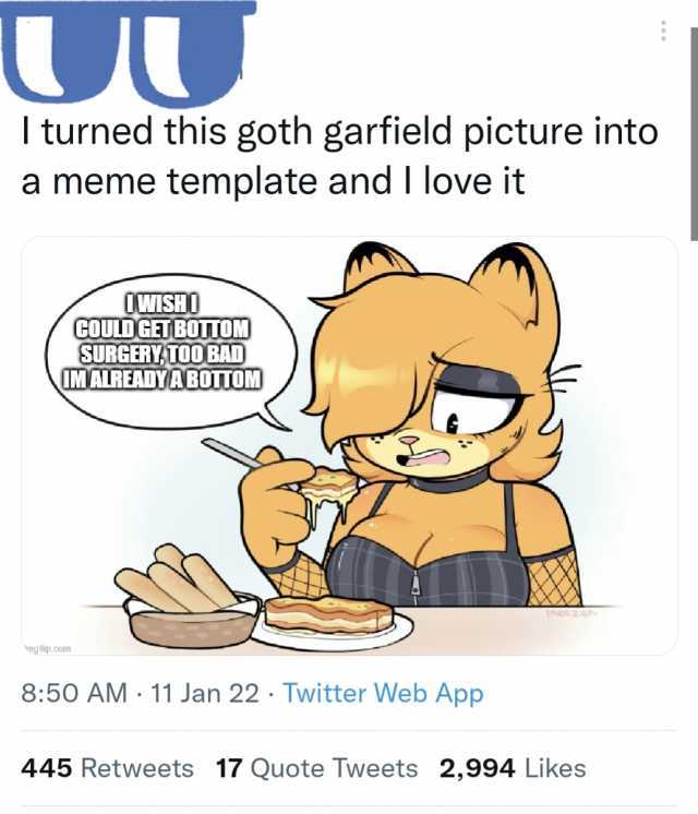 UU I turned this goth garfield picture into a meme template and I love it OWISHO COULD GETBOTTOM SURGERYATOO BAD) IMALREADYABOTTOM mg tiip.com 850 AM 11 Jan 22 Twitter Web App 445 Retweets 17 Quote Tweets 2994 Likes