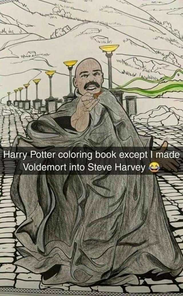 WA M 7 Harry Potter coloring book except I made Voldemort into Steve Harvey