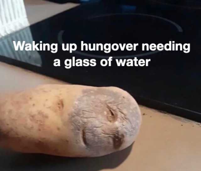 Waking up hungover needing a glass of water