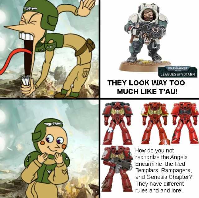 WARHAMMER LEAGUES OF vOTANN THEY L0OK WAY TOO MUCH LIKE TAU! How do you not recognize the Angels Encarmine the Red Templars Rampagers and Genesis Chapter They have ditferent rules and and lore.