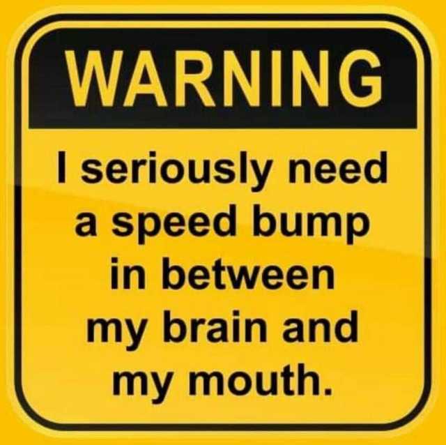 WARNING I seriously need a speed bump in between my brain and my mouth.