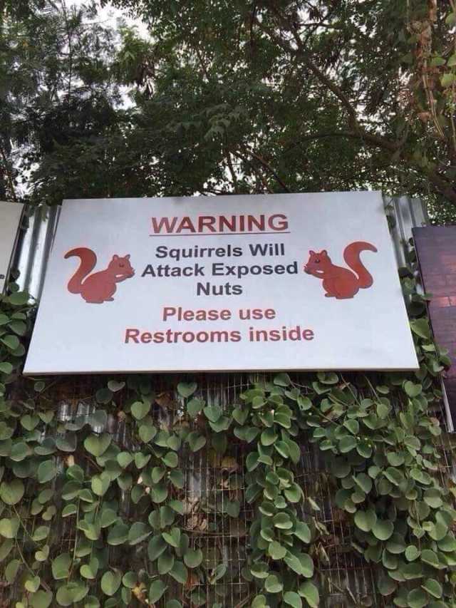 WARNING Squirrels Will Attack Exposed Nuts Please use Restrooms inside 