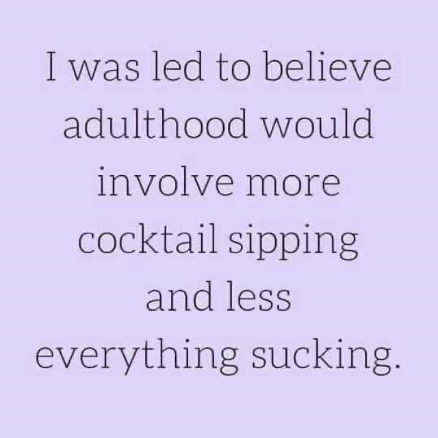 was led to believe adulthood would involve more cocktail sipping and less everything sucking.
