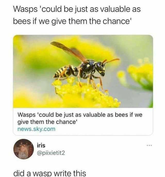 Waspscould be just as valuable as bees if we give them the chance Wasps could be just as valuable as bees if we give them the chance news.sky.com iris @piixietit2 did a wasp write this