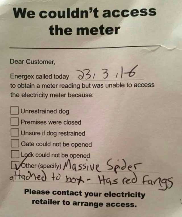 We couldnt access the meter Dear Customer Energex called today 33 36 to obtain a meter reading but was unable to access the electricity meter because Unrestrained dog Premises were closed Unsure if dog restrained Gate could not be