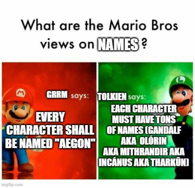What are the Mario Bros views on NAMES GRRM says TOLKEN says imgflip.com EVERY EACH CHARACTER MUST HAVE TONS OFNAMES IGANDALF AKA OLÓRIN AKA MITHRANDIR AKA INCÁNUS AKA THARKÜN CHARACTER SHALLI BE NAMED AEGON