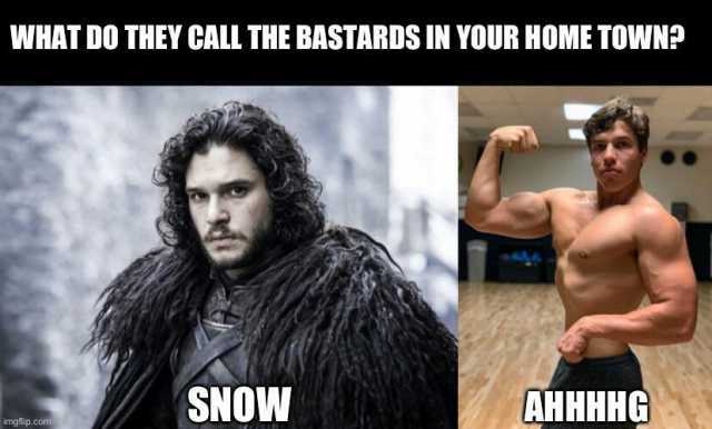 WHAT DO THEY CALL THE BASTARDS IN YOUR HOME TOWN imgflip.com SNOW AHHHHG