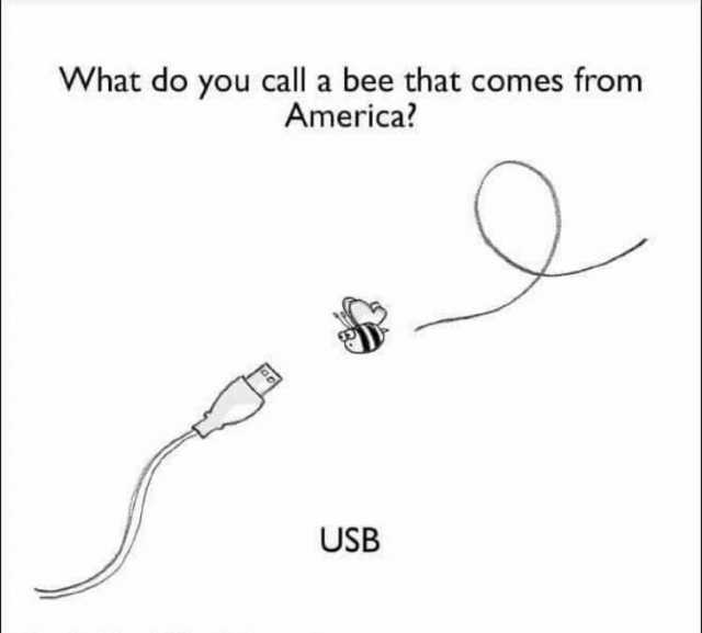 What do you call a bee that comes from America USB
