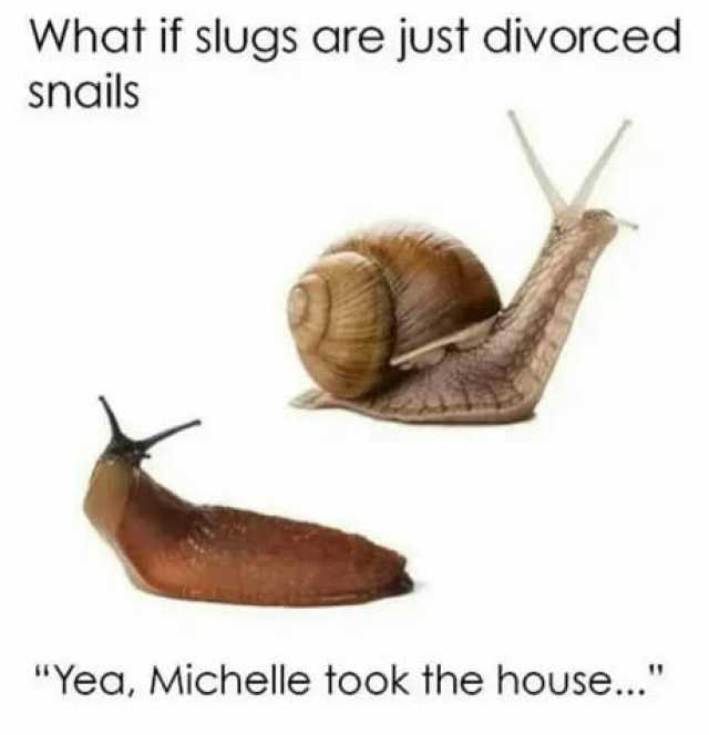 What if slugs are jUst divorced snails Yea Michelle took the hoUse...