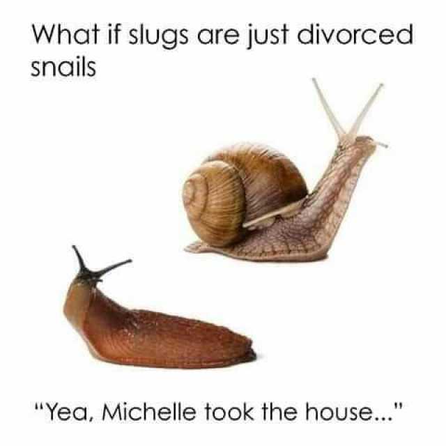 What if slugs are just divorced snails Yea Michelle took the house..
