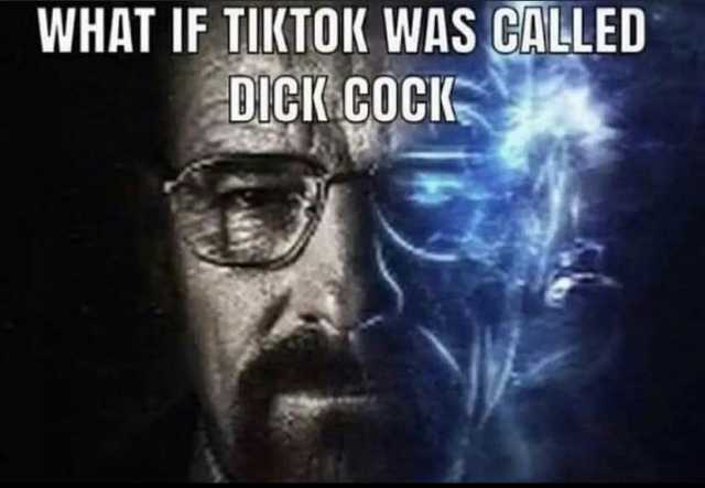 WHAT IF TIKTOK WAS CALLED DICK COCK