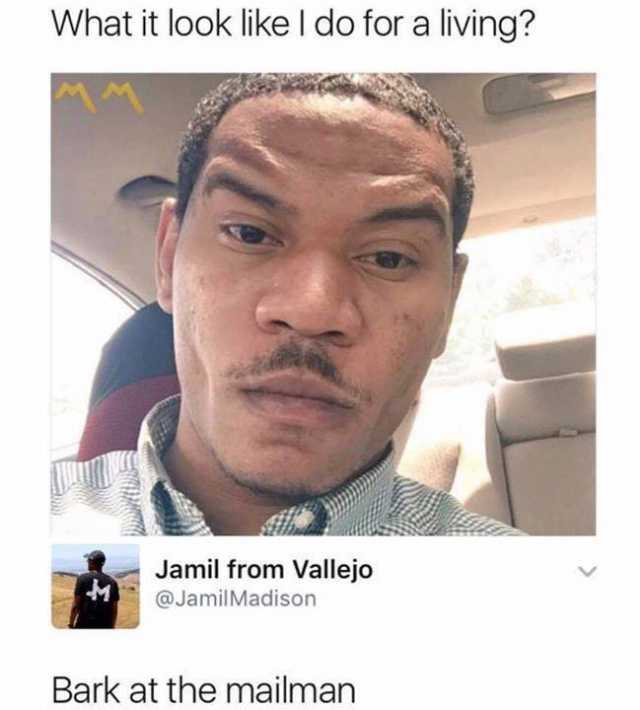 What it look like I do for a living? Jamil from Vallejo @JamilMadison Bark at the mailman 