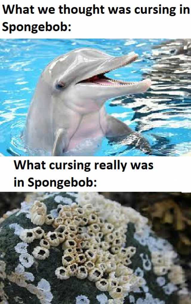 What we thought was cursing in Spongebob What cursing really was in Spongebob