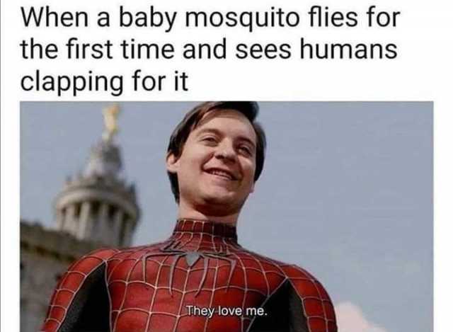 When a baby mosquito flies for the first time and sees humans clapping for it They love me. 