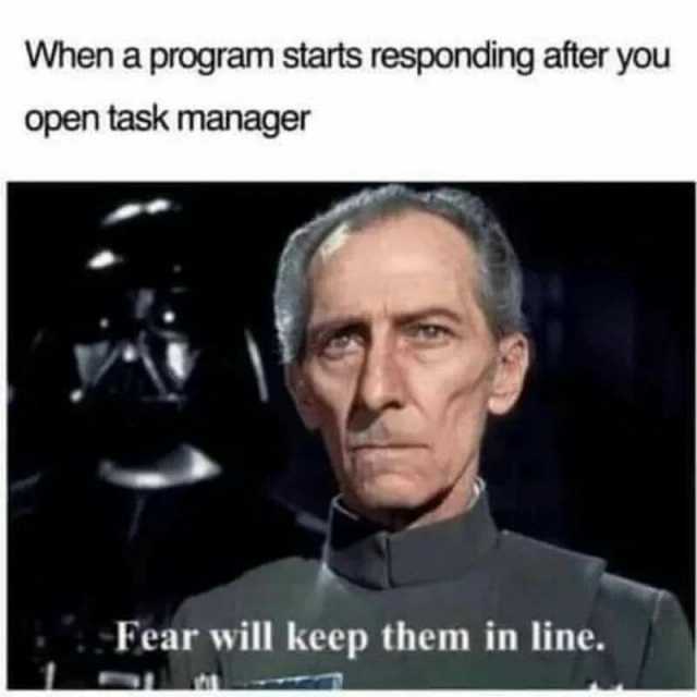 When a program starts responding after you open task manager Fear will keep them in line.
