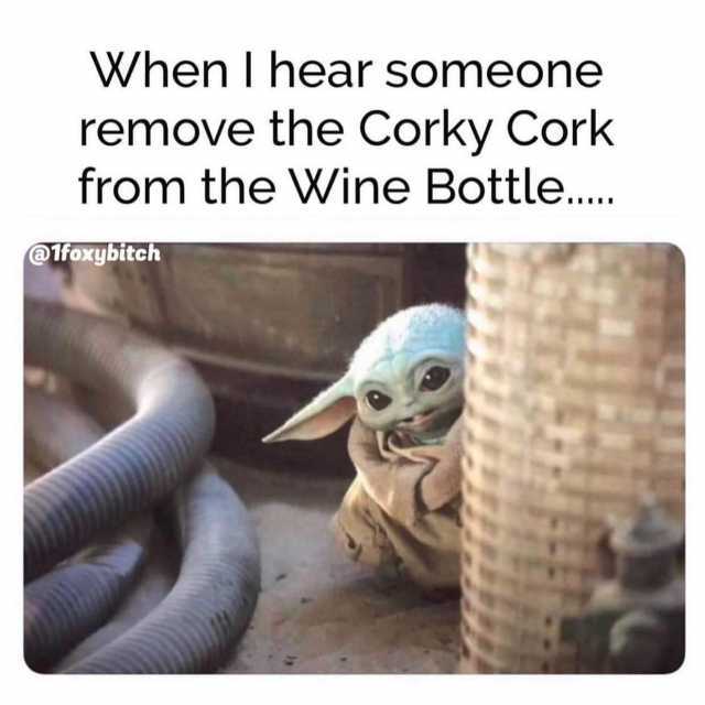 When I hear someone remove the Corky Cork from the Wine Bottle... @1foxybitch 