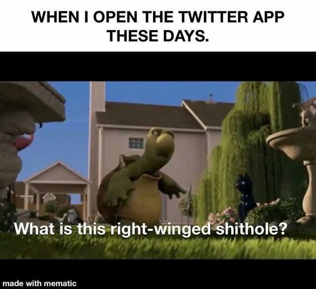 WHEN I OPEN THE TWITTER APP THESE DAYS. What is this right-winged shithole made with mematic