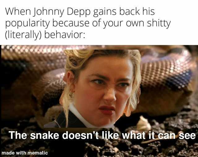 When Johnny Depp gains back his popularity because of your own shitty (literally) behavior The snake doesntlijke what it can See made with mematic
