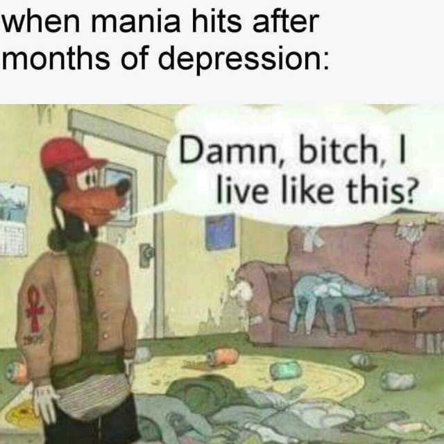 when mania hits after months of depression Damn bitchI live like this