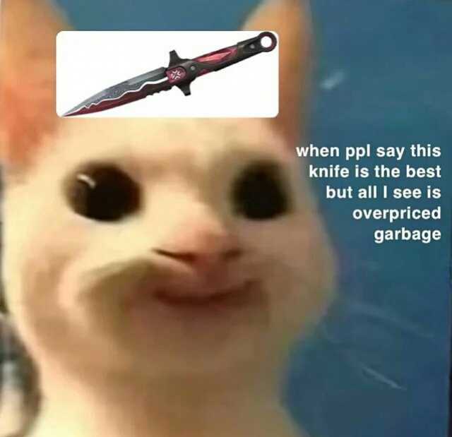 when ppl say this knife is the best but all I see is overpriced garbage