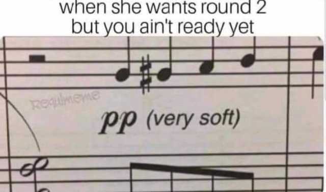 when she wants round 2 but you aint ready yet Requimeme pp (very soft) 