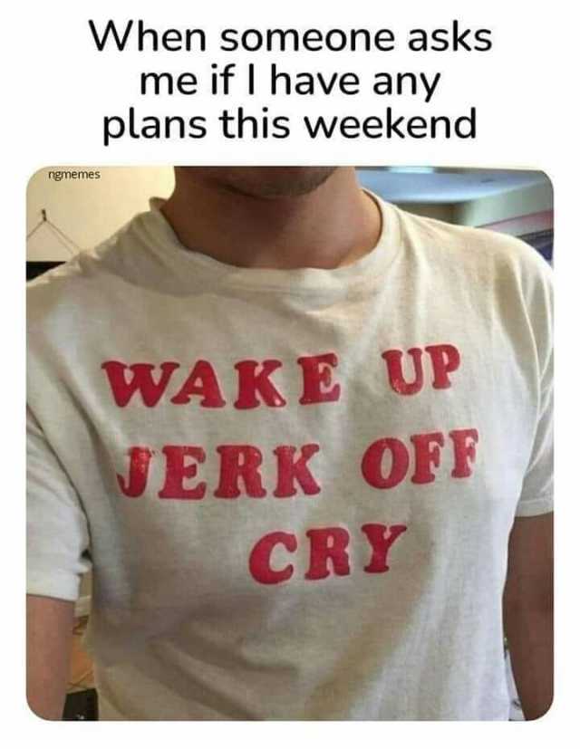 When someone asks me if Ihave any plans this weekend ngmemes WAKE UP JERK OFF CRY