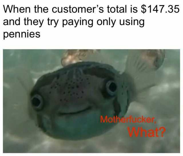 When the customers total is $147.35 and they try paying only using pennies Motherfucker at