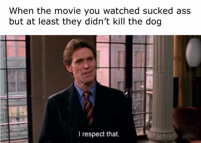 When the movie you watched sucked ass but at least they didnt kill the dog I respect that.