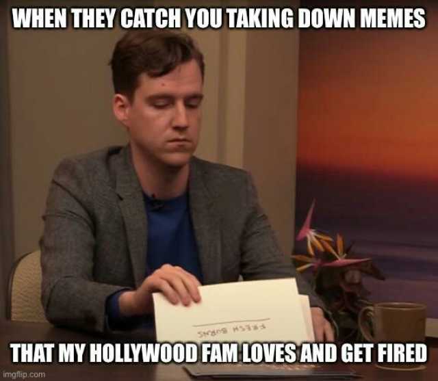 WHEN THEY CATCH YOU TAKING DOWN MEMES THAT MY HOLLYWOOD FAMLOVES AND GET FIRED imgflip.com