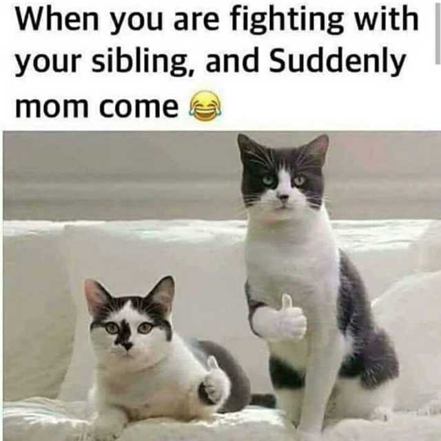 When you are fighting with your sibling and Suddenly mom Come