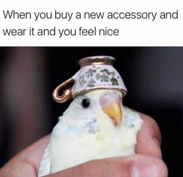 When you buy a new accessory and wear it and you feel nice 