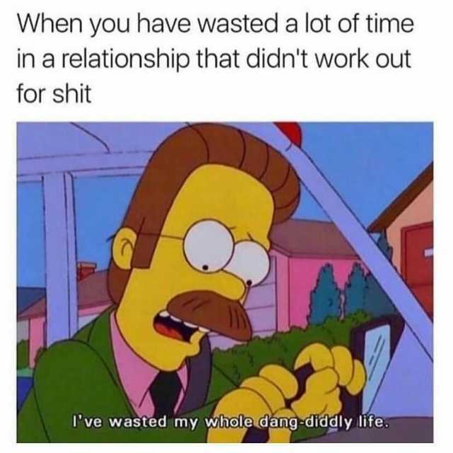 When you have wasted a lot of time in a relationship that didnt work out for shit Ive wasted my whole dang-diddly liífe