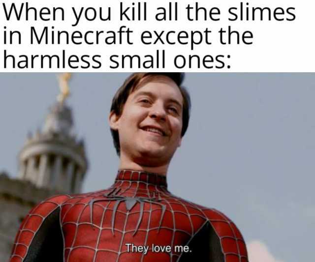 When you kill all the slimes in Minecraft except the harmless small ones They love me. 