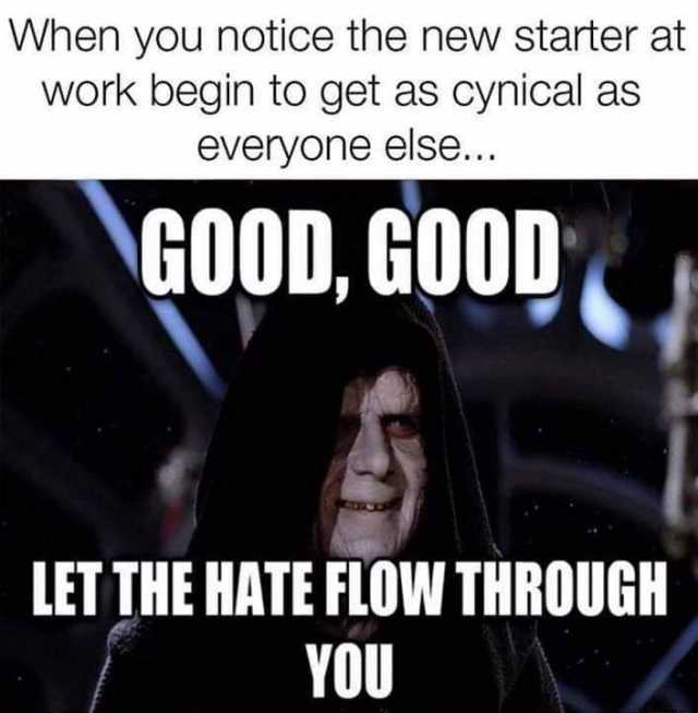 When you notice the new starter at work begin to get as cynical as everyone else... GOOD GOOD LET THE HATE FLOW THROUGH YOU 
