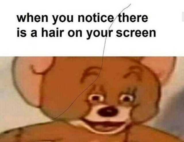 when you notice there is a hair on your screen