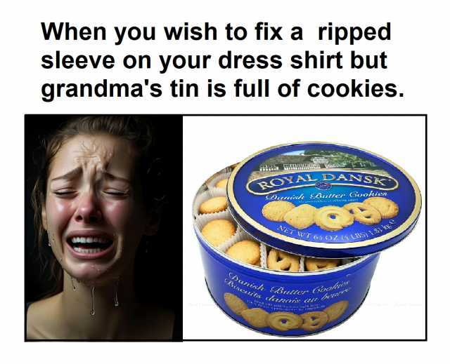 When you wish to fix a rip sleeve on your dress shirt but grandmas tin is full of cookies. ROYAL DANSK SBisits Danista SButter Guokies WET wT64 OZ(4 LHS) Danish Buttey Goosiss