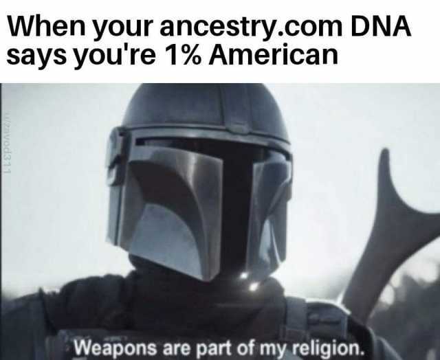 When your ancestry.com DNA says youre 1% American Weapons are part of my religion. 