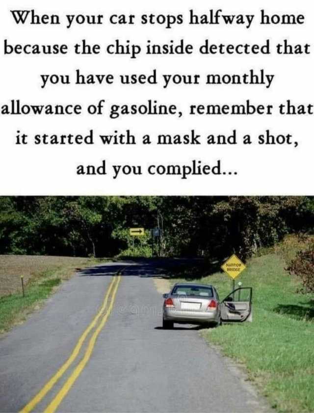 When your car stops halfway home because the chip inside detected that you have used your monthly allowance of gasoline remember that it started with a mask and a shot and you complied... unto BRsDGE