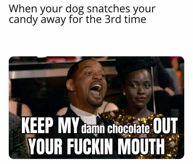 When your dog snatches your candy away for the 3rd time KEEP M damn chocolate UUI YOUR FUCKIN MOUTH