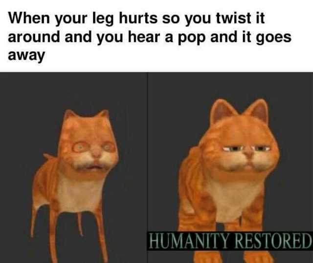 When your leg hurts so you twist it around and you hear a pop and it goes away HUMANITY RESTORED