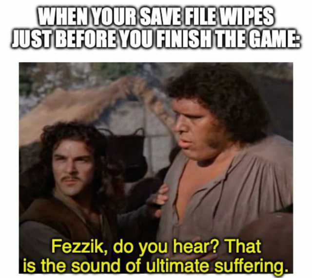 WHEN YOUR SAVE FILEWIPES USTBEFOREYOU FINISHTHE GAME Fezzik do you hear That is the sound of ultimate suffering.