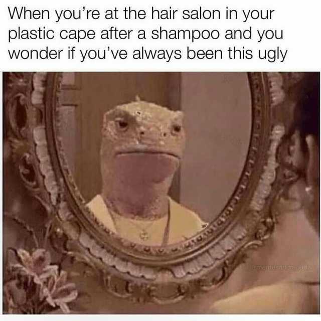 When youre at the hair salon in your plastic cape after a shampoo and you wonder if youve always been this ugly ehemesardmoodz