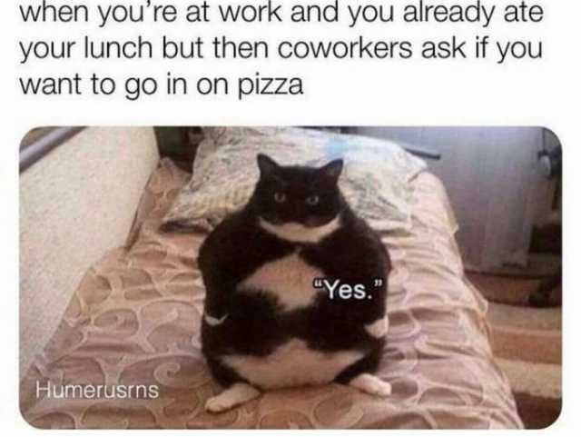 when youre at work and yOu already ate your lunch but then coworkers ask if you want to go in on pizza Yes. Humerusrns