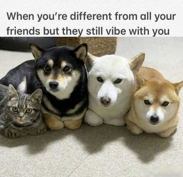 When youre different from all your friends but they still vibe with you