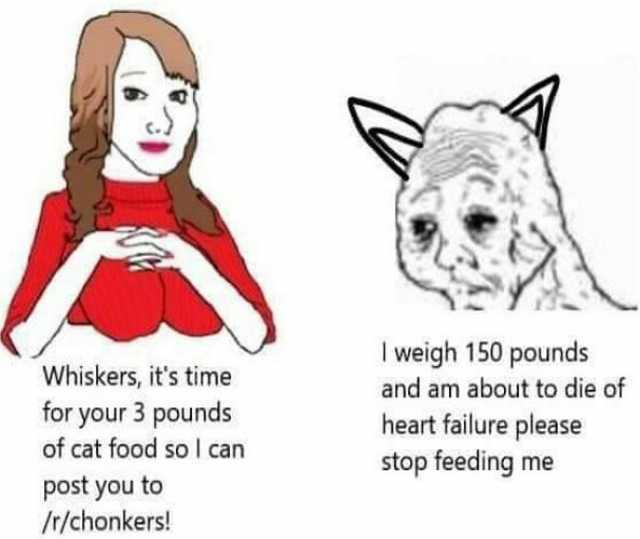 Whiskers its time for your 3 pounds of cat food so I can post you to Ir/chonkers! I weigh 150 pounds and am about to die of heart failure please stop feeding me