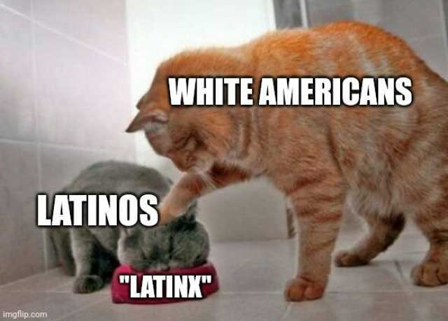 WHITE AMERICANS LATINOS LATINK imgflip.com
