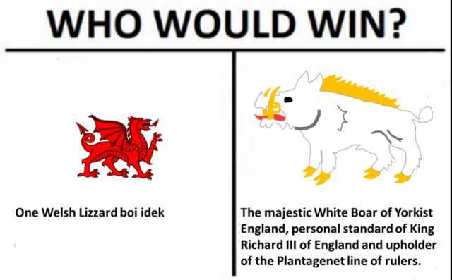 WHO WOULD WIN One Welsh Lizzard boi idek The majestic White Boar of Yorkist England personal standard of King Richard IIl of England and upholder of the Plantagenet line of rulers.